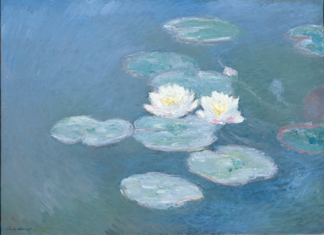 Lilie wodne, wieczór (zobacz szczegóły 382333) autorstwa Claude Monet