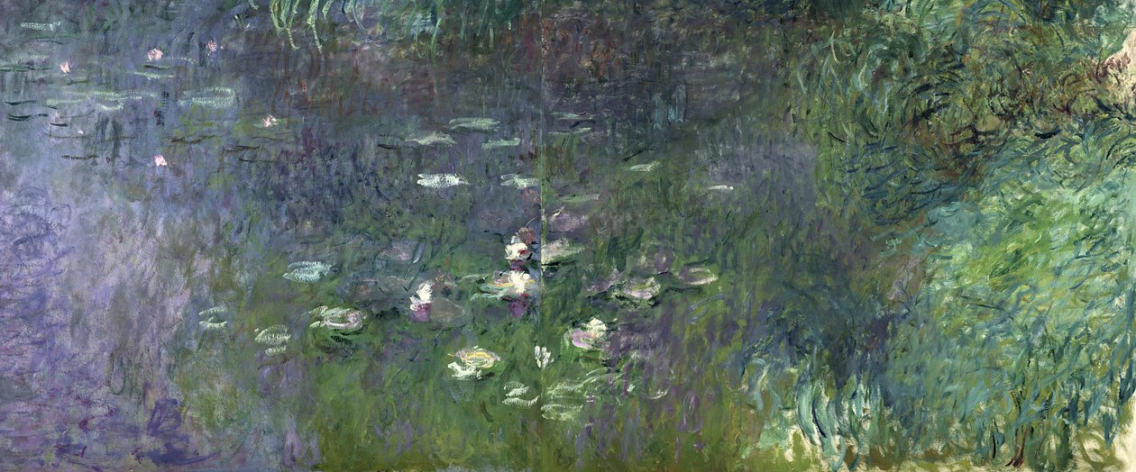 Lilie wodne: rano, 1914-18 (prawa część) autorstwa Claude Monet