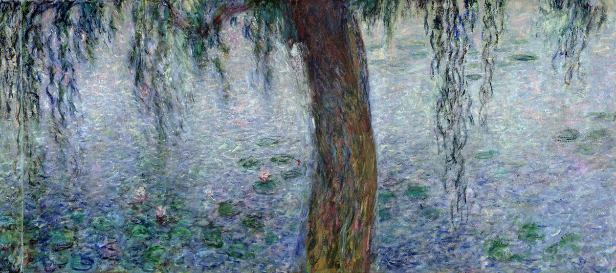 Lilie wodne: Poranek z Weeping Willows, fragment prawej części, 1915-26 (zob. także 162347-8) autorstwa Claude Monet