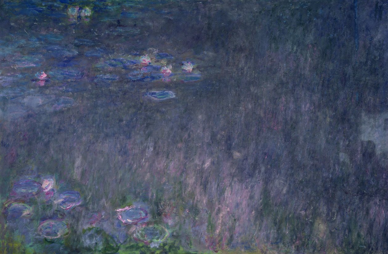 Lilie wodne: Odbicia drzew, szczegół z lewej strony, 1915-26 autorstwa Claude Monet