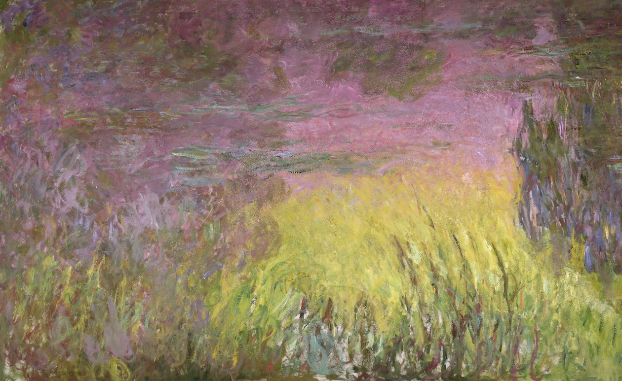 Lilie wodne o zachodzie słońca, 1915-26 (szczegół po lewej stronie) autorstwa Claude Monet
