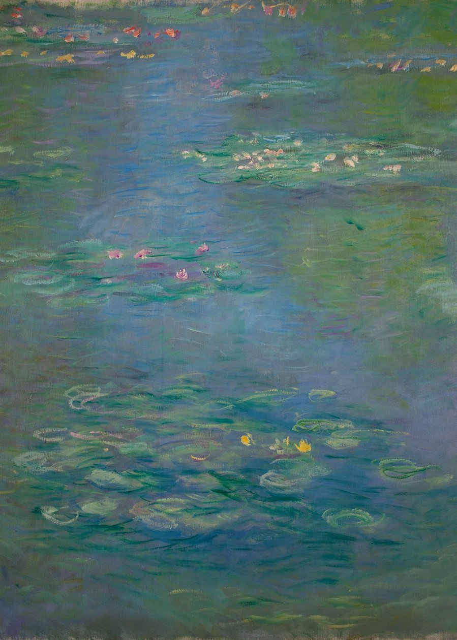 Lilie wodne, detal, 1903 (patrz także 160198) autorstwa Claude Monet