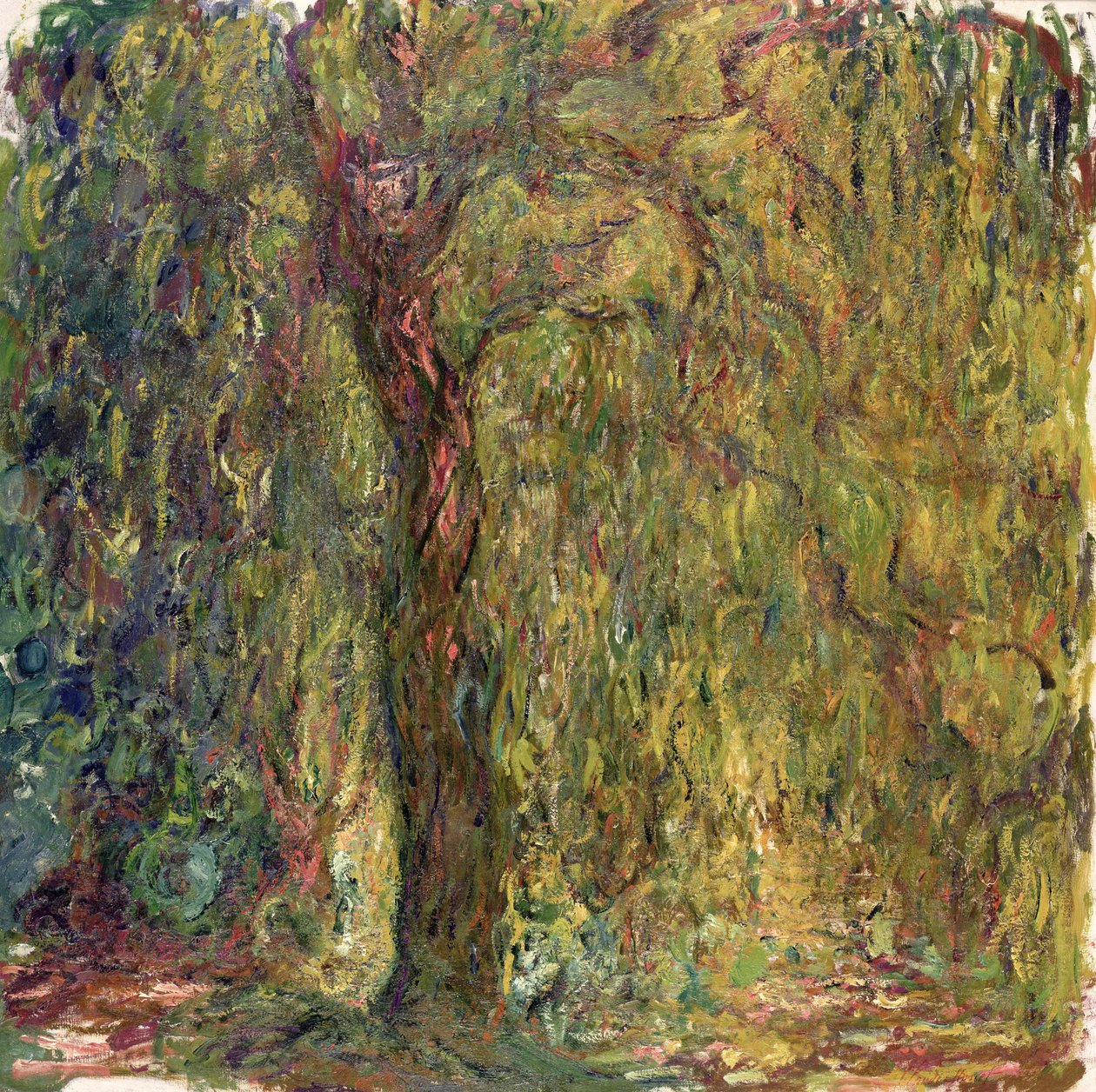 Płacząca wierzba, 1918-19 autorstwa Claude Monet