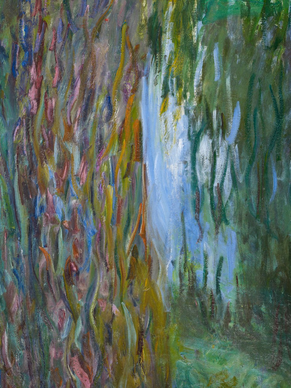 Wierzba płacząca i staw liliowy, 1916-19, detal z 182047 olej na płótnie autorstwa Claude Monet