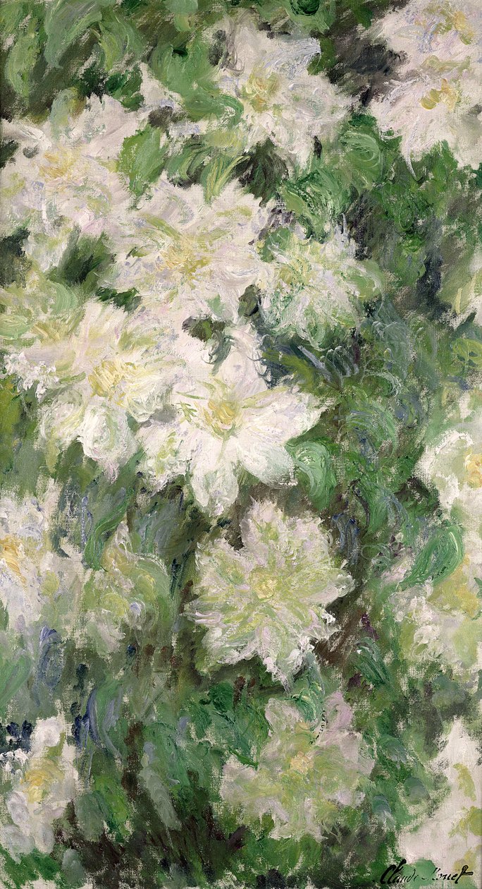 Powojnik biały, 1887 autorstwa Claude Monet