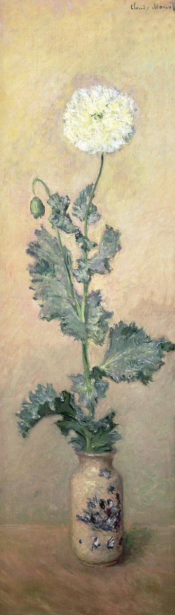 Biały mak, 1883 autorstwa Claude Monet