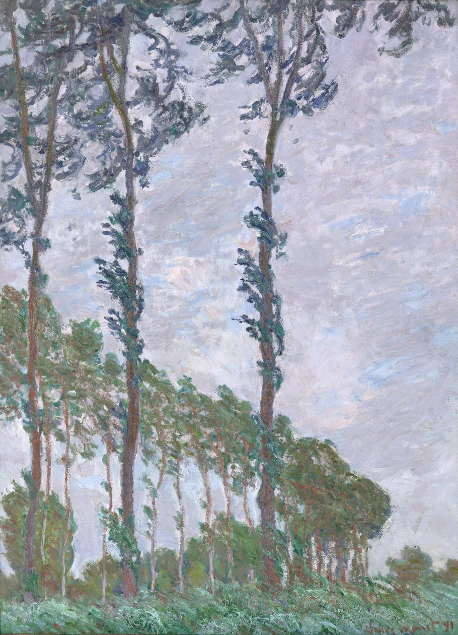 Efekt wiatru, seria topoli autorstwa Claude Monet