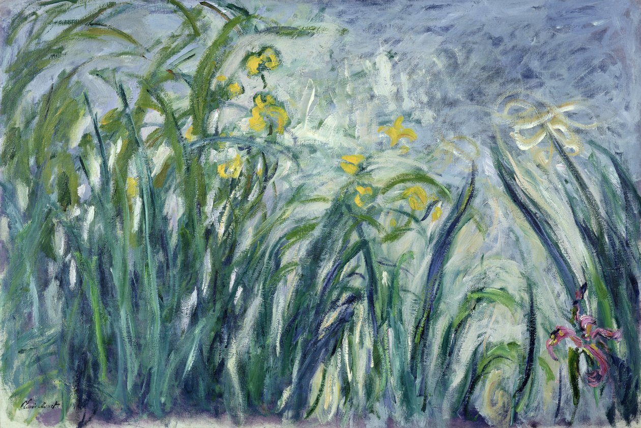 Irysy żółte i fioletowe, 1924-25 (patrz szczegół 414407) autorstwa Claude Monet