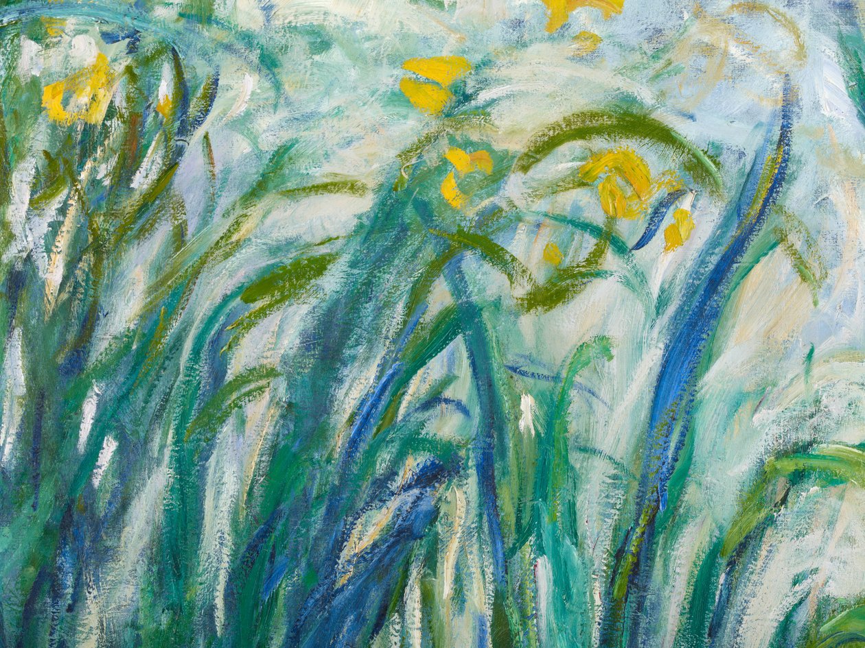 Żółte i fioletowe irysy, 1924-25 fragment 169490 olej na płótnie autorstwa Claude Monet