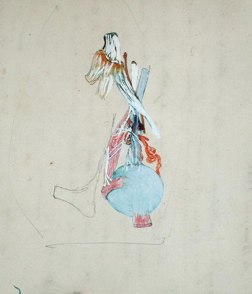 Układ nerwowy w głowie kota, 25 maja 1842 (ołówek & akwarela na papierze) autorstwa Claude Bernard