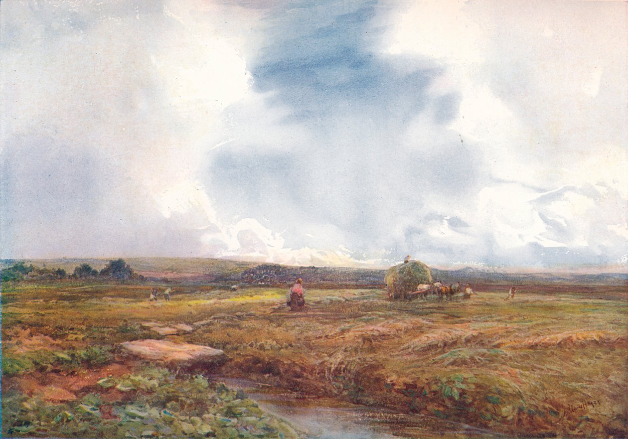 Hayfield, 1872-1906, 1906. autorstwa Claude Hayes