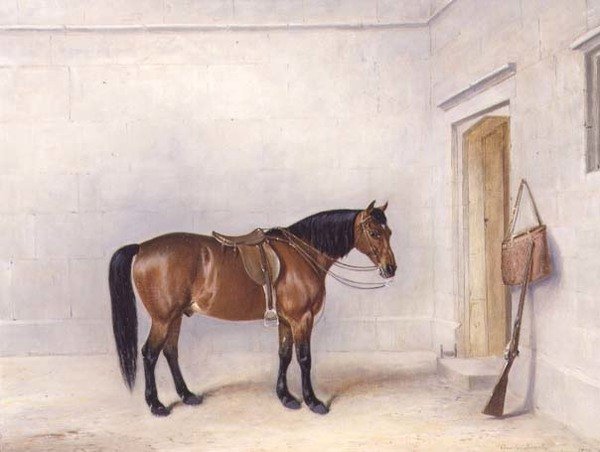 Osiodłany kucyk strzelający do zatoki autorstwa Claude L. Ferneley
