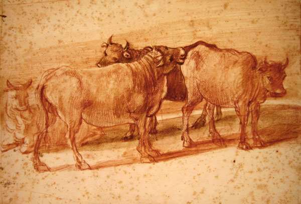 Krowy (czerwona kreda na papierze) autorstwa Claude Lorrain