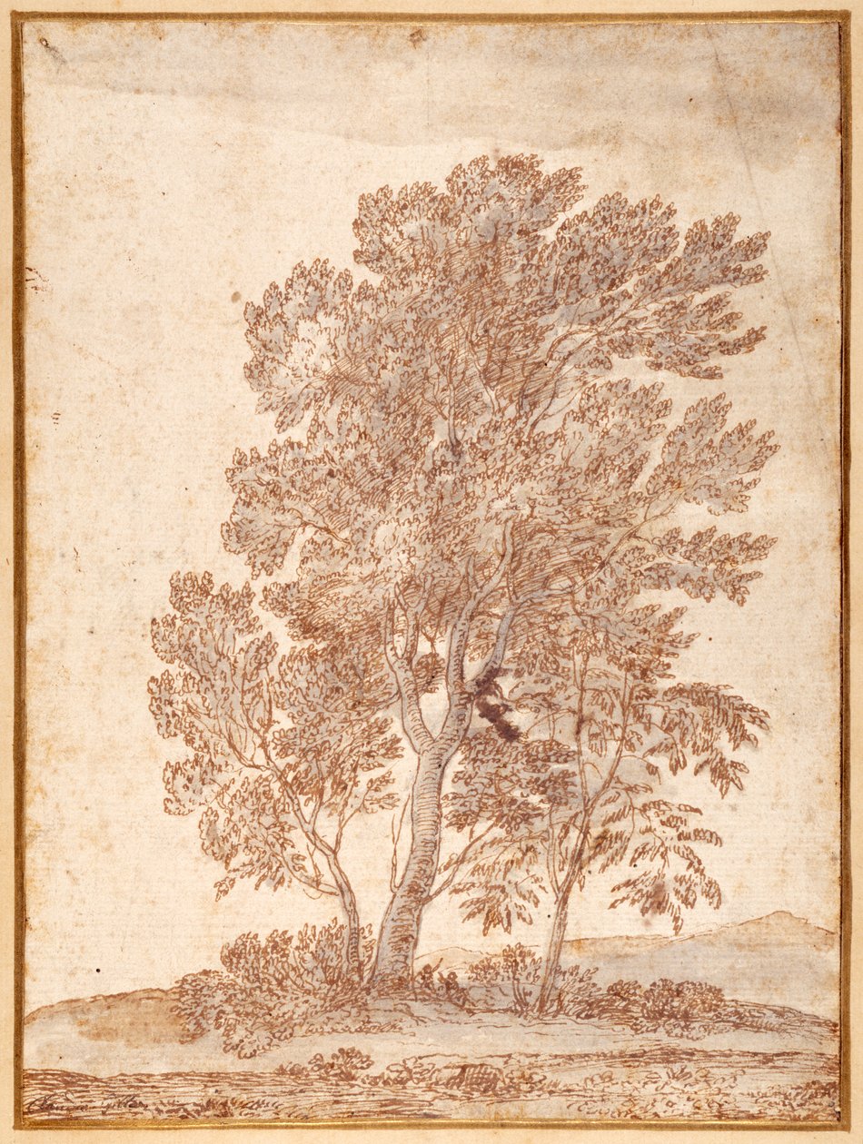 Trzy drzewa (pióro i brązowy tusz z szarym praniem na papierze) autorstwa Claude Lorrain