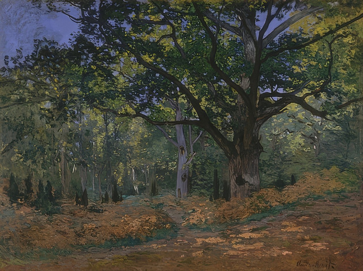 Dąb Bodmer w lesie Fontainebleau. 1865 autorstwa Claude Monet