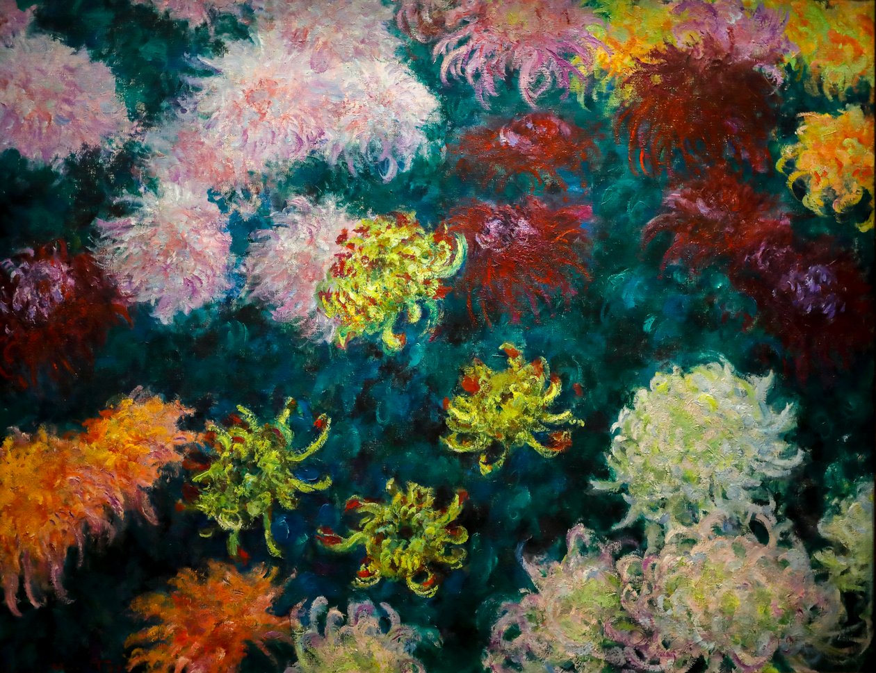Łóżko chryzantemy autorstwa Claude Monet