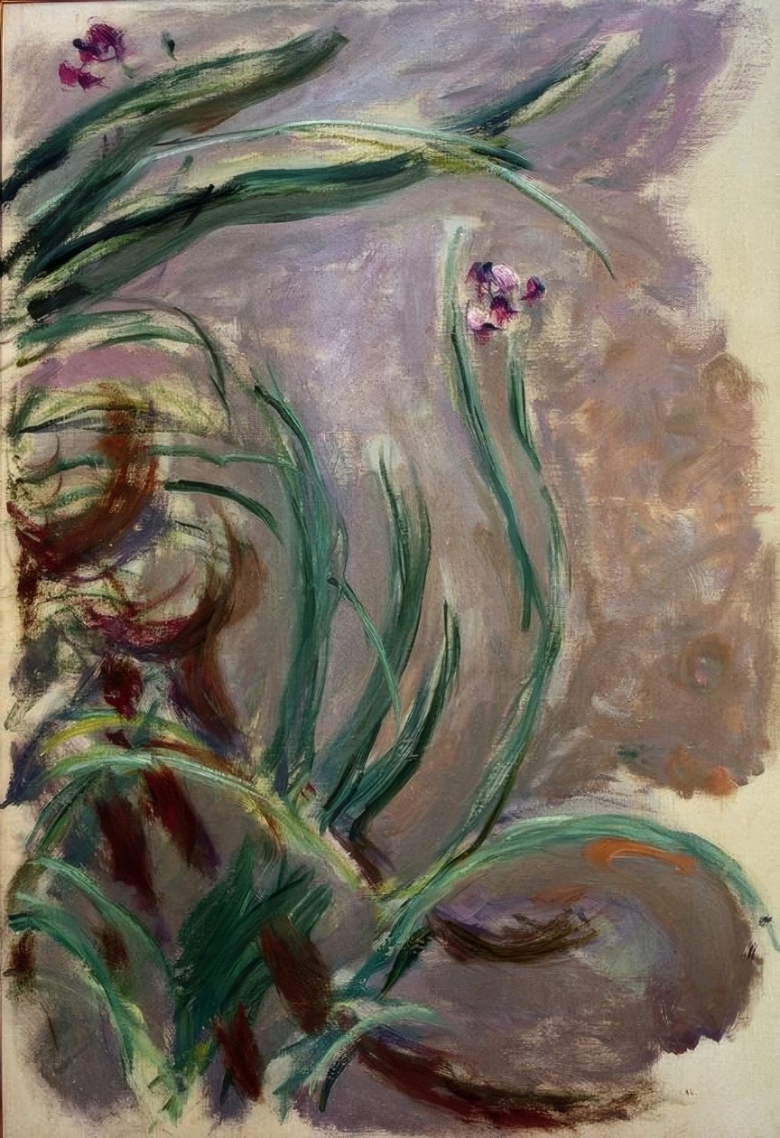 Irys (Irysy) autorstwa Claude Monet