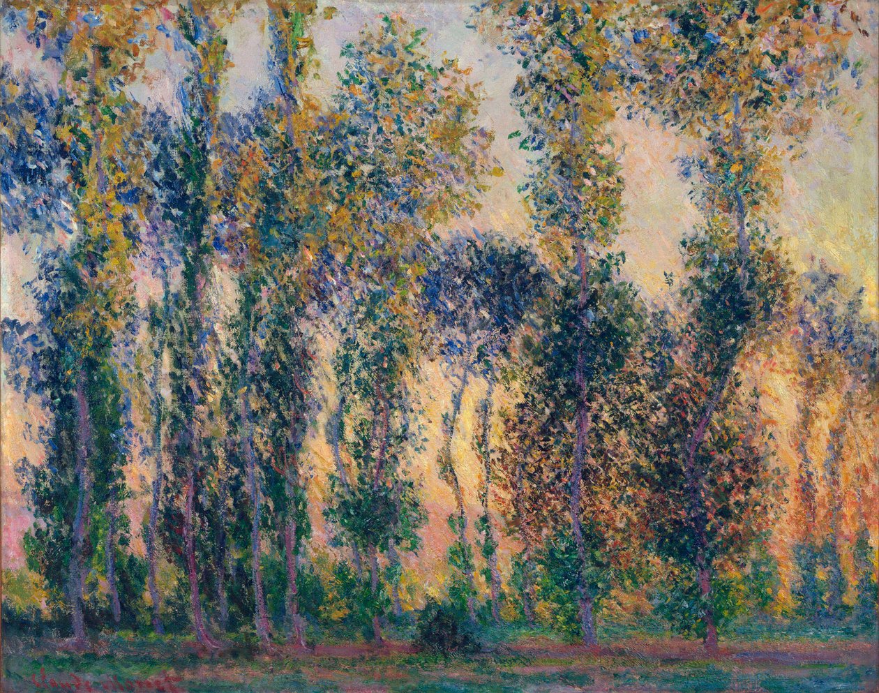 Topole w Giverny (Francja), wschód słońca. Obraz Claude Moneta (1840-1926), olej na płótnie autorstwa Claude Monet