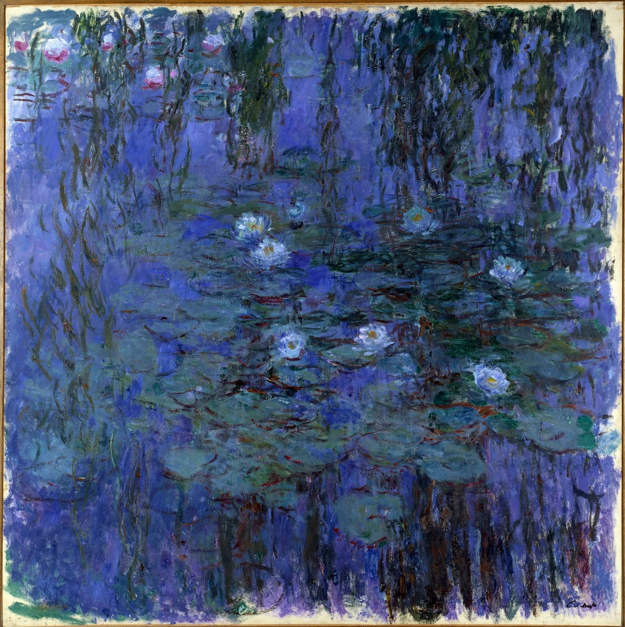 Nympheas bleu Obraz Claude