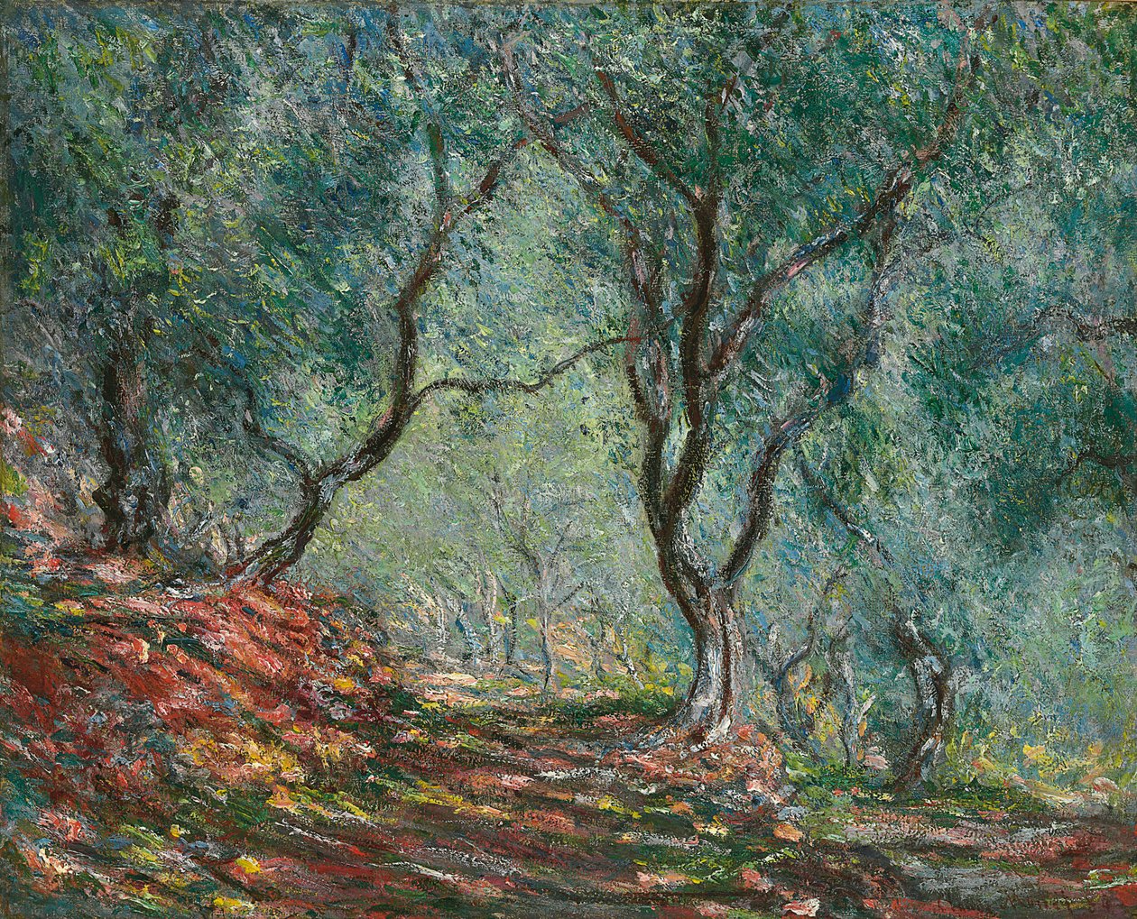 Drzewa oliwne w ogrodzie Moreno, 1884 autorstwa Claude Monet