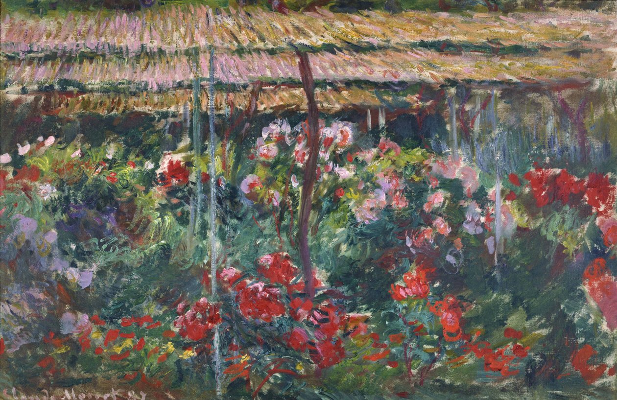 Ogród piwonii, 1887 autorstwa Claude Monet