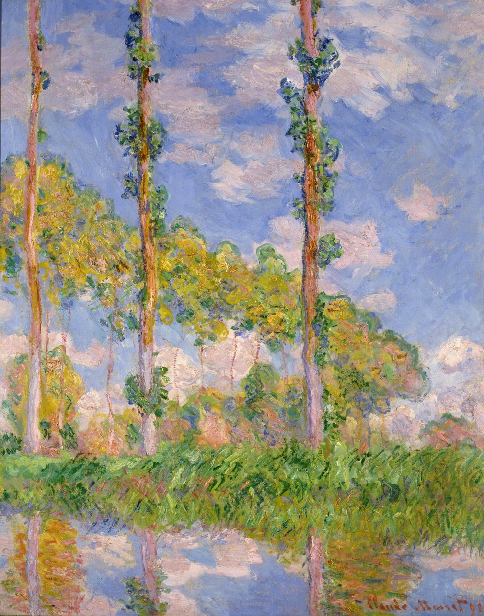 topole w słońcu autorstwa Claude Monet