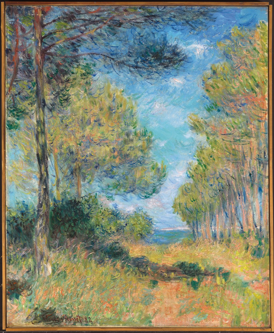 Ścieżka Sosny w Varengeville; Allee de sapins Varengeville, 1882 autorstwa Claude Monet