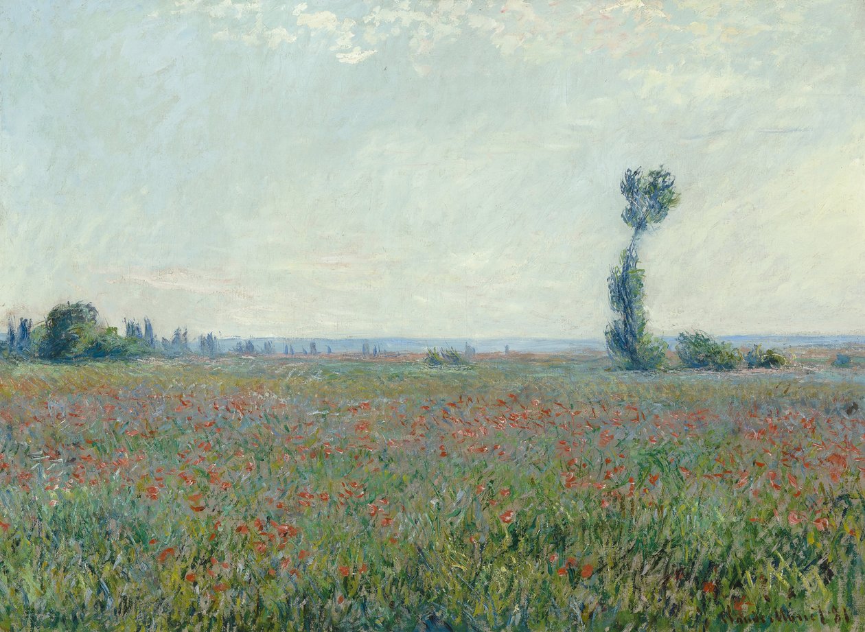Pole makowe, 1881 autorstwa Claude Monet