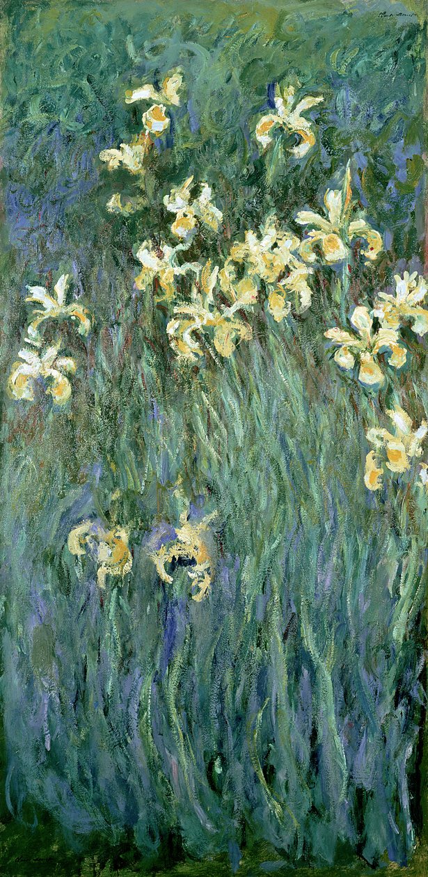 Żółte irysy autorstwa Claude Monet