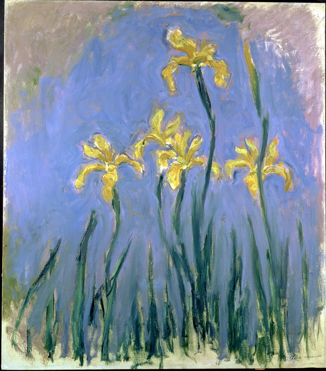 Żółte Irysy, ok. 1918-25 autorstwa Claude Monet