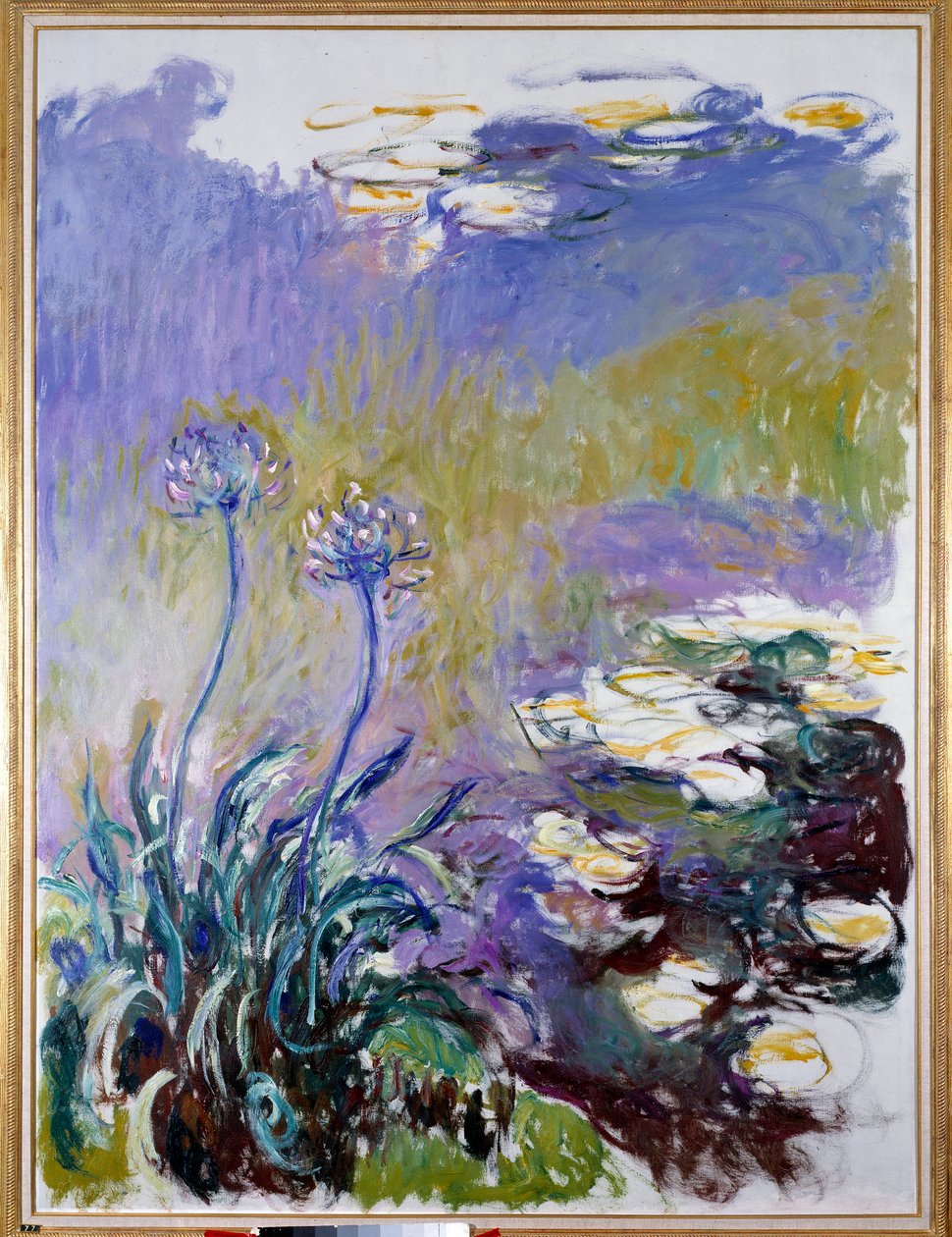 Agapant autorstwa Claude Monet