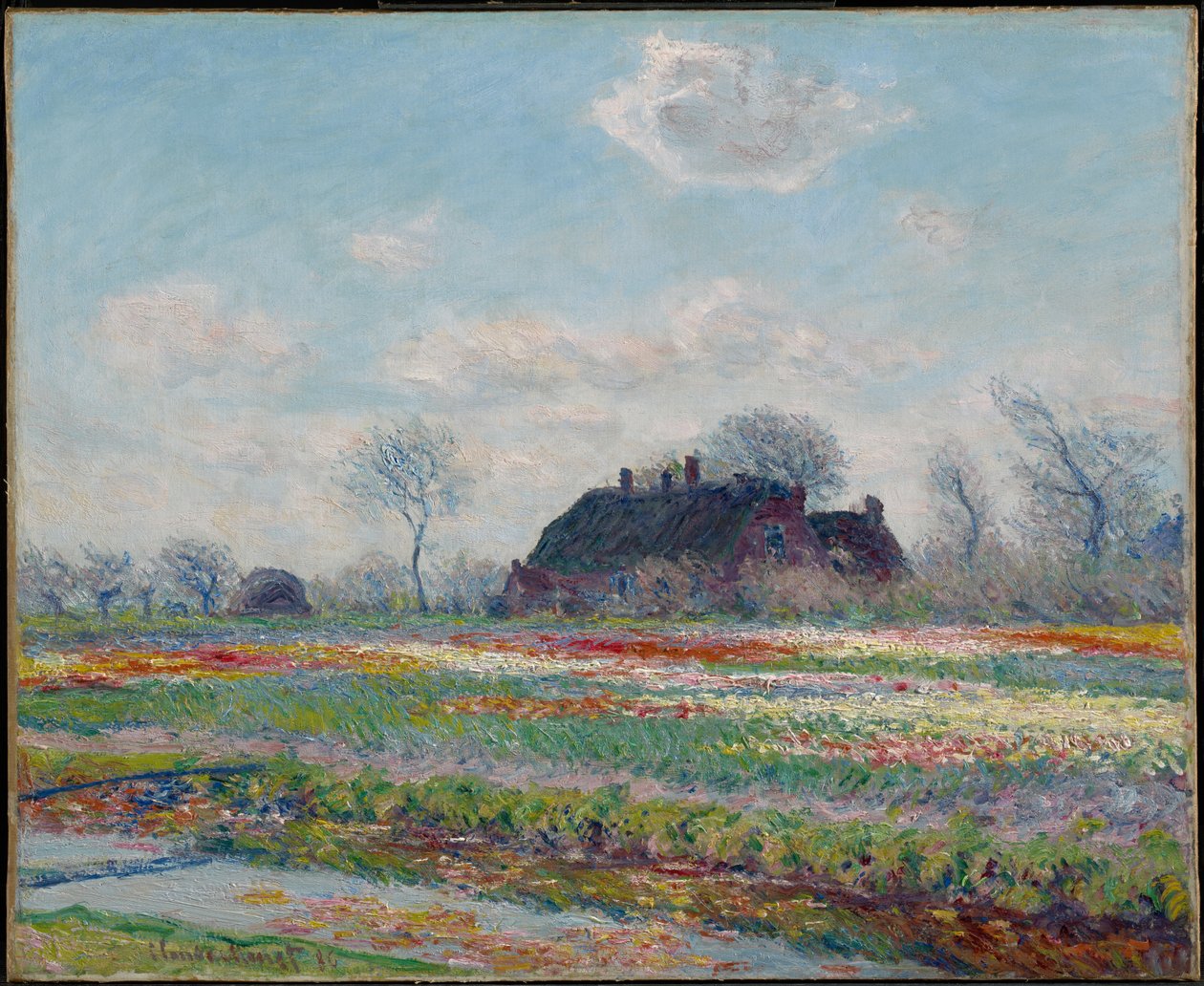 Pola tulipanów w Sassenheim autorstwa Claude Monet