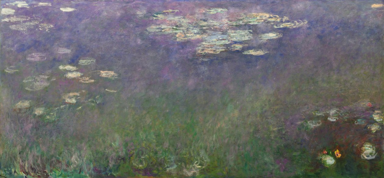 Lilie wodne (agapant) autorstwa Claude Monet