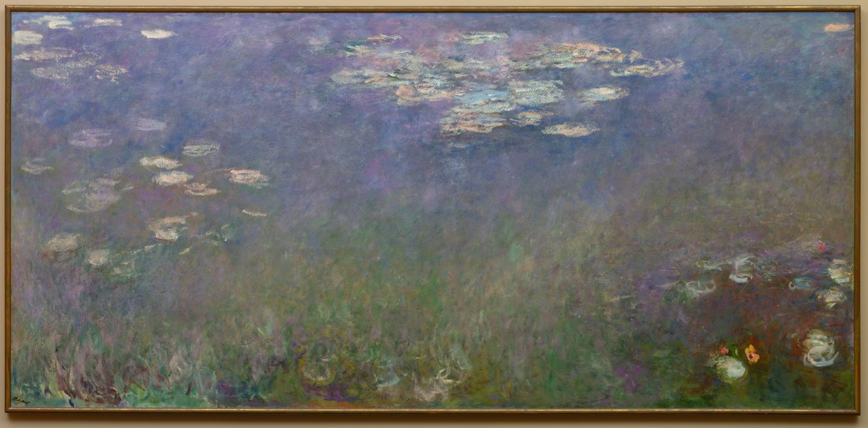 Lilie wodne (Agapant), ok. 1915-26 (olej na płótnie) autorstwa Claude Monet