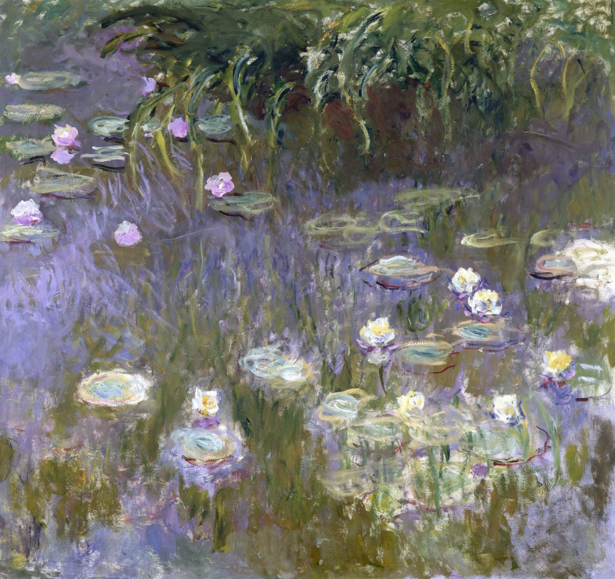 Lilie wodne autorstwa Claude Monet