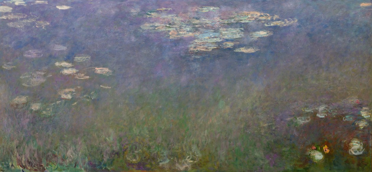 Lilie wodne autorstwa Claude Monet