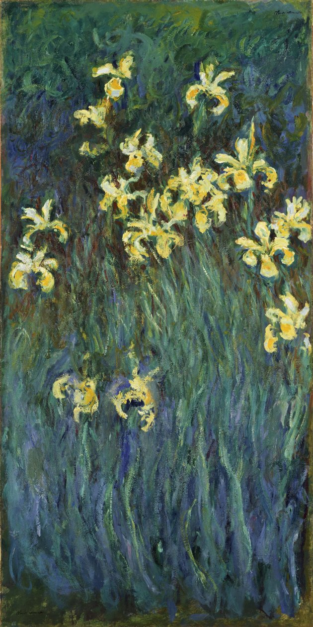 Żółte Irysy, 1914-1917 autorstwa Claude Monet