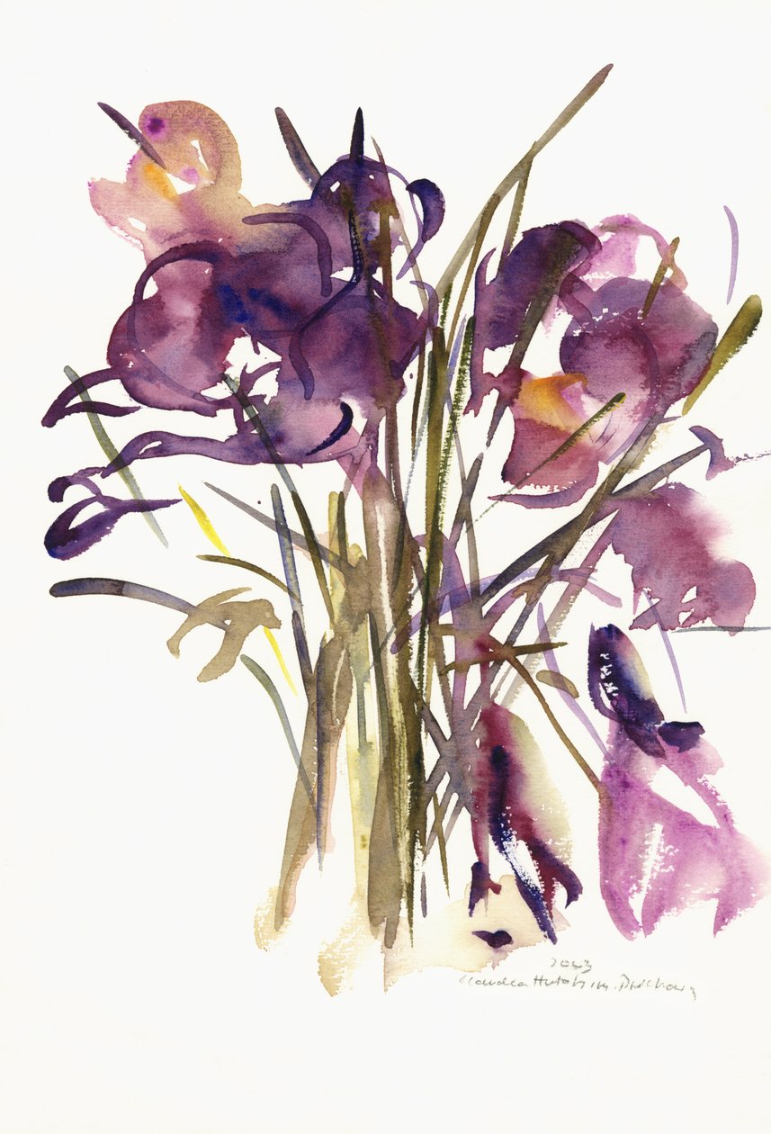 Krokus, 2003 (akwarela) autorstwa Claudia Hutchins Puechavy