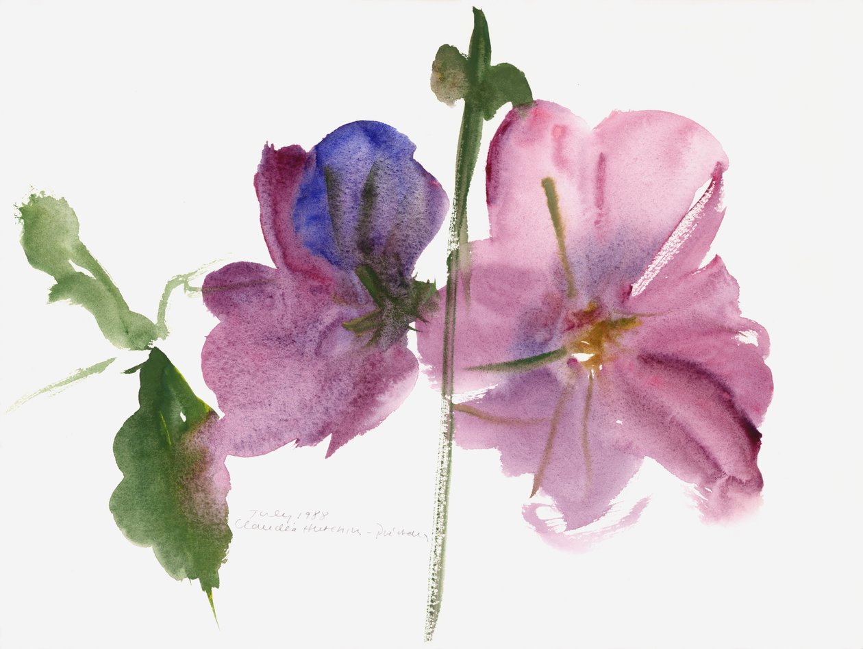 Malwy, 1988 (akwarela) autorstwa Claudia Hutchins Puechavy