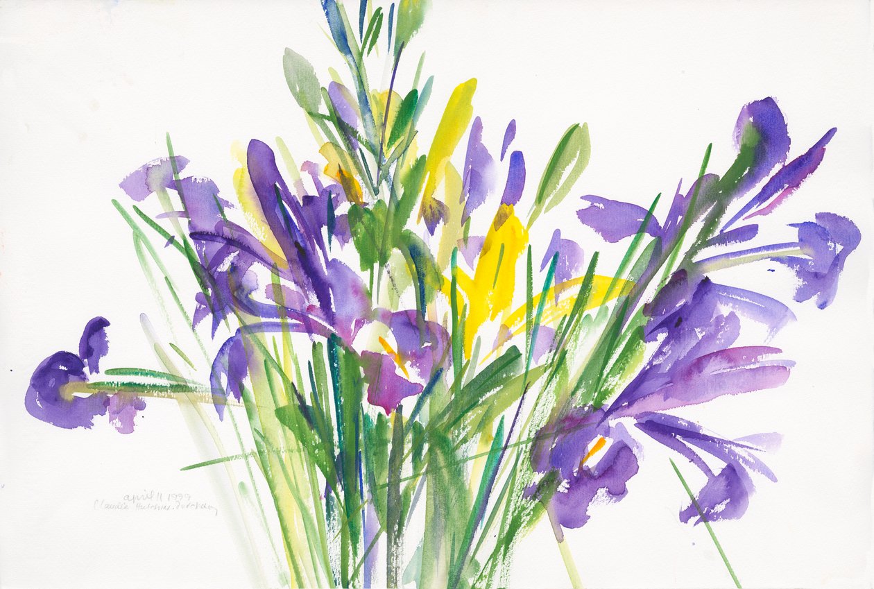 Irysy, 1999, (akwarela na papierze) autorstwa Claudia Hutchins Puechavy