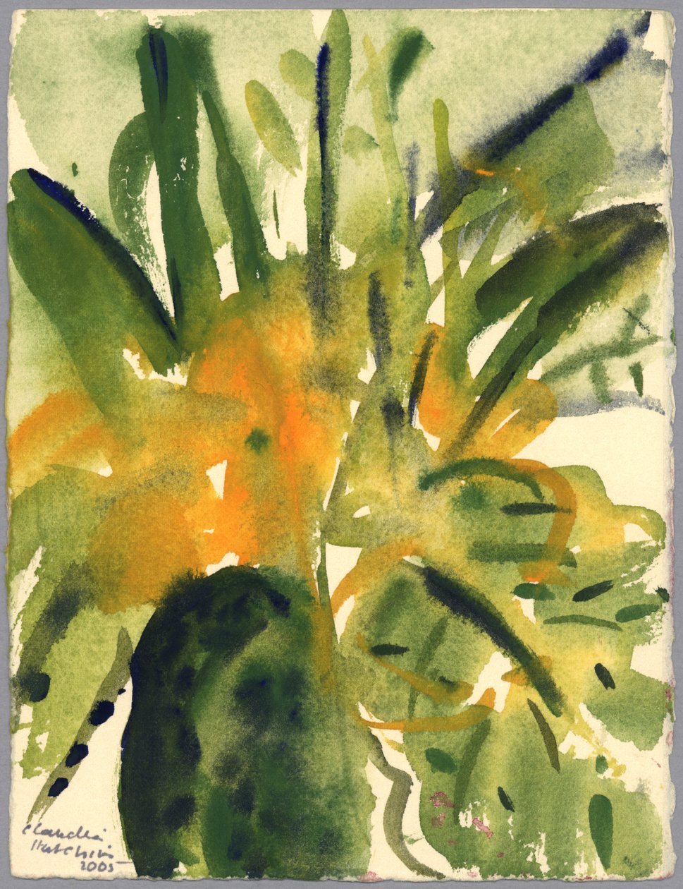 Pierwiosnki, 2005 (akwarela) autorstwa Claudia Hutchins Puechavy