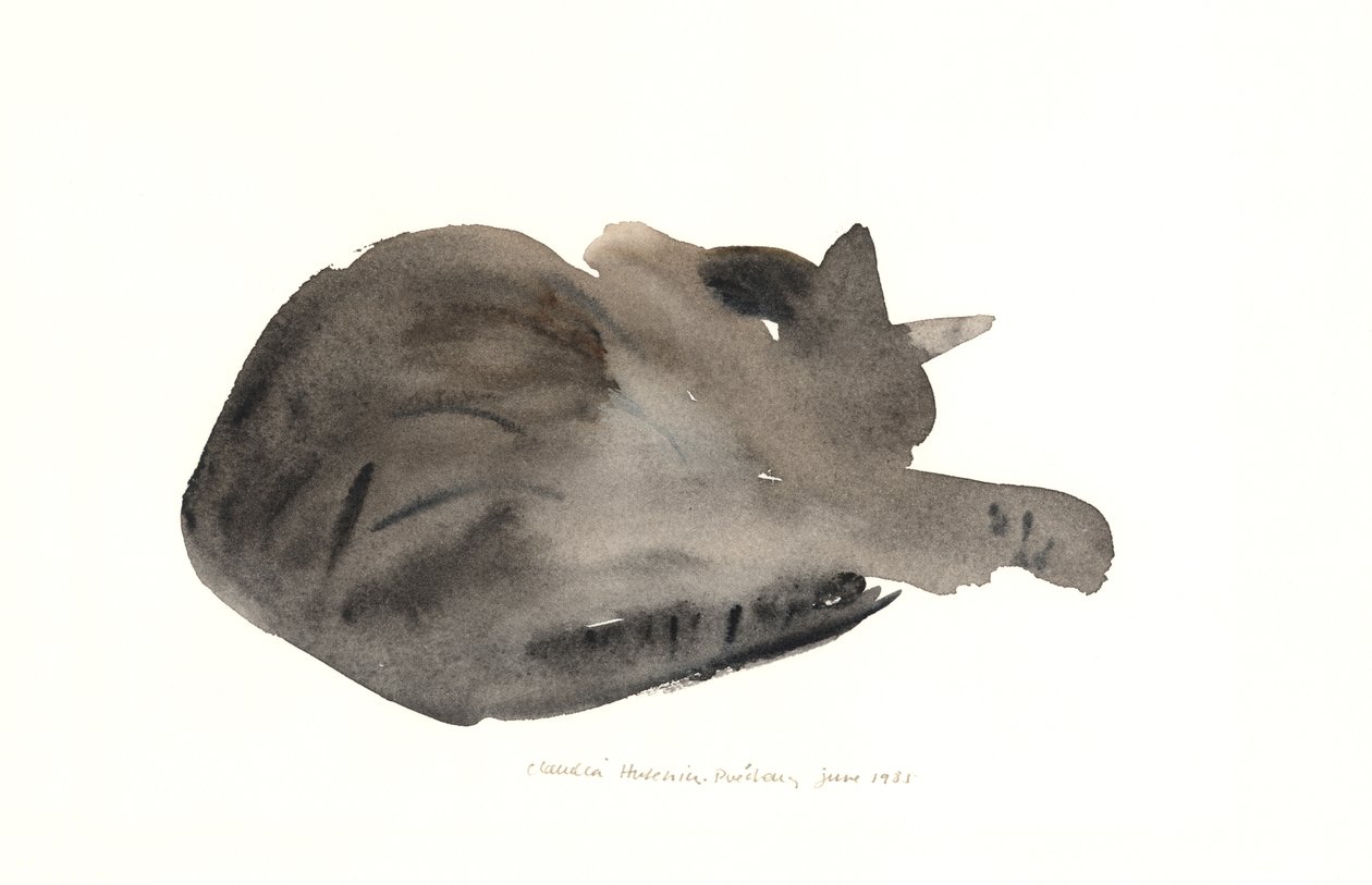 Śpiący kot, 1985 (akwarela) autorstwa Claudia Hutchins Puechavy