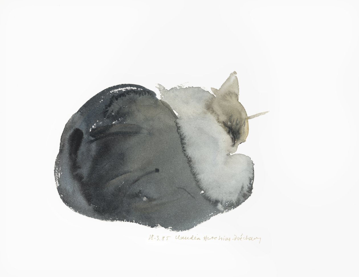 Śpiący kot, 1985 (akwarela) autorstwa Claudia Hutchins Puechavy