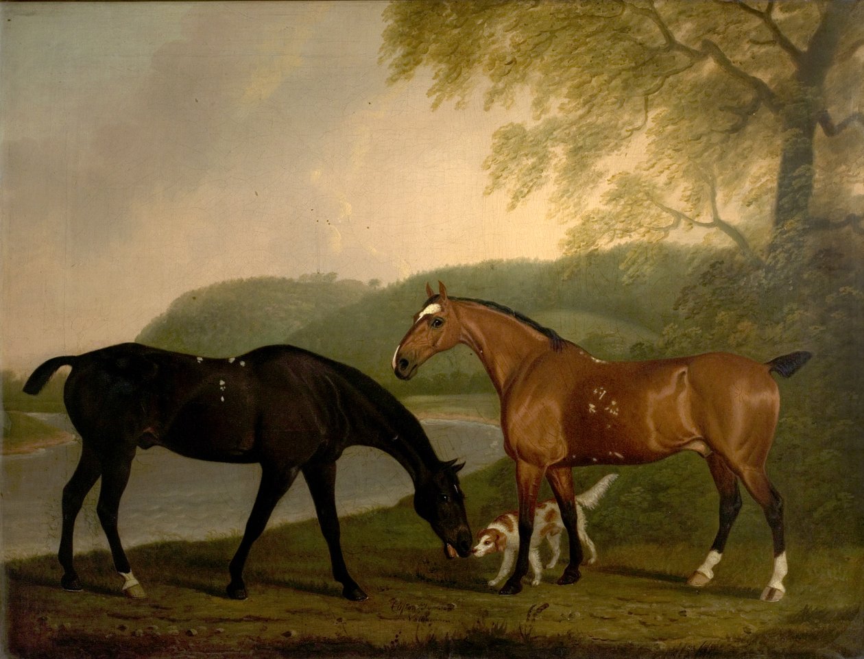 Konie i pies w krajobrazie, ok. 1830 autorstwa Clifton Tomson