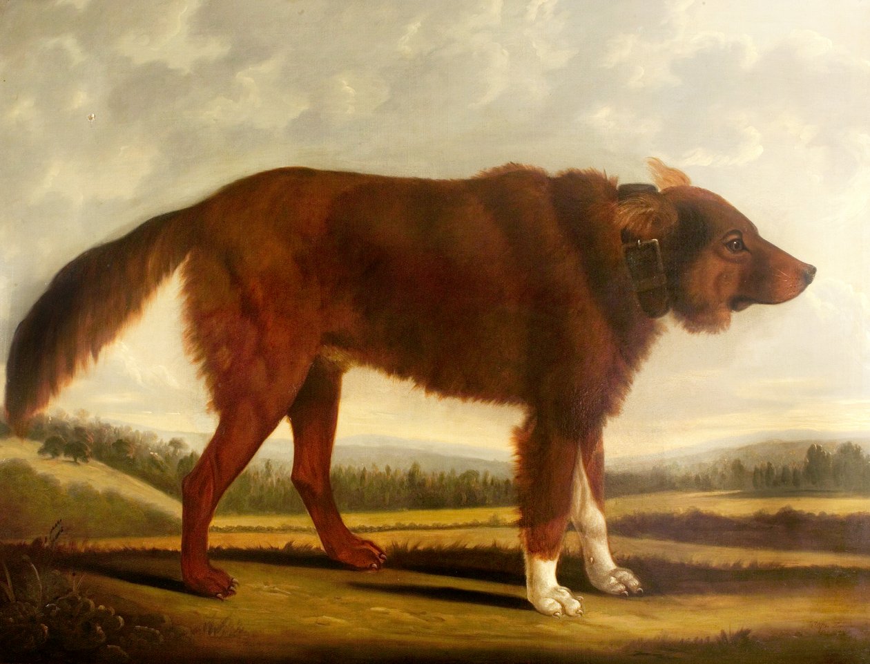 Lord Byrons Dog Lyon (Wilczy pies), 1808 autorstwa Clifton Tomson
