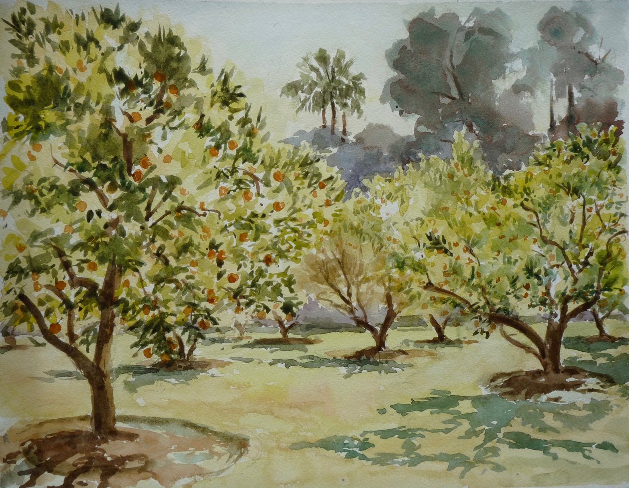 Mamounia, gaje pomarańczowe, 2000 (akwarela) autorstwa Clive Wilson