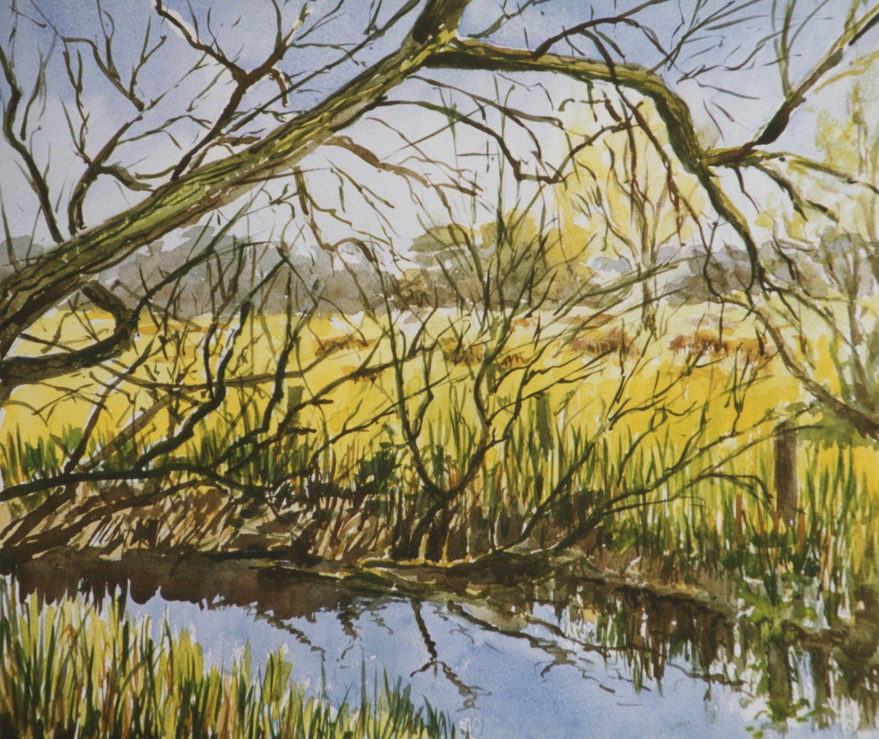 Water Meadows, Kintbury, wczesne majowe popołudnie autorstwa Clive Wilson