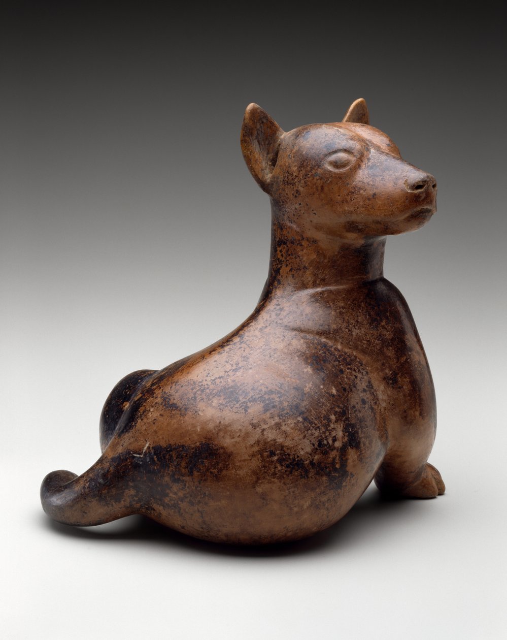 Pies półsiedzący, Meksyk, Proto-Classic, 100 BC-AD 300 (ceramika) autorstwa Colima Culture