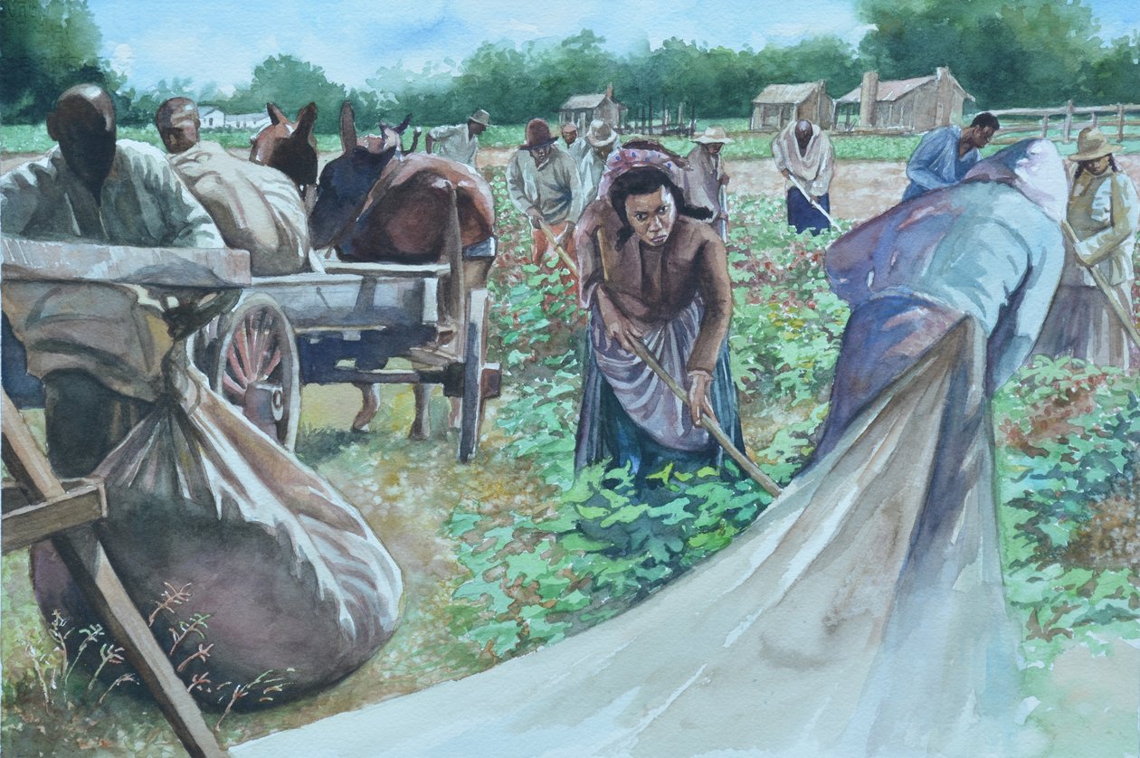 Łamanie kręgosłupa, 2010 autorstwa Colin Bootman
