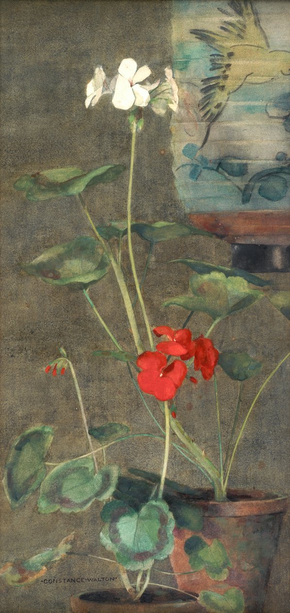 Pelargonie i Latarnia Japońska (akwarela na papierze) autorstwa Constance Walton
